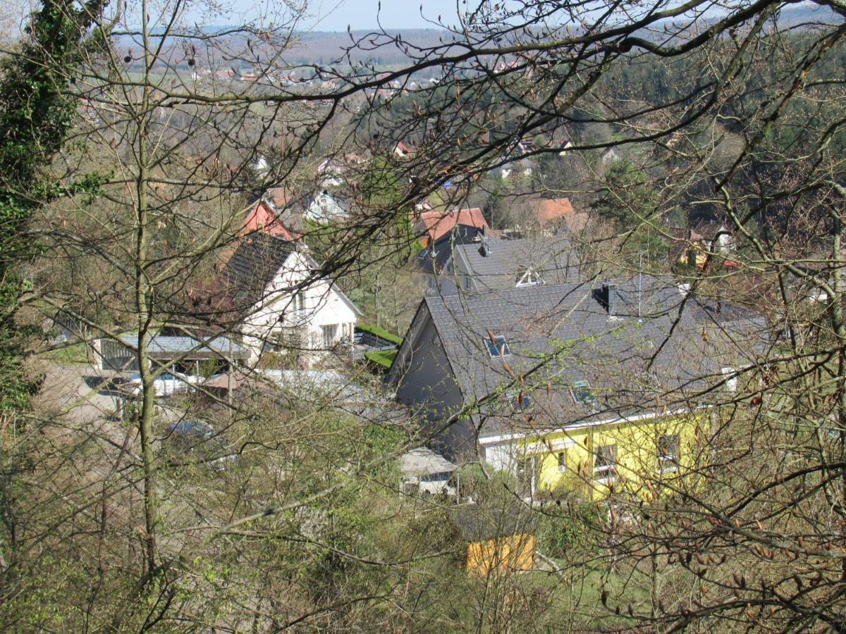 Le Clos D'Aure. Oberhaslach Екстер'єр фото