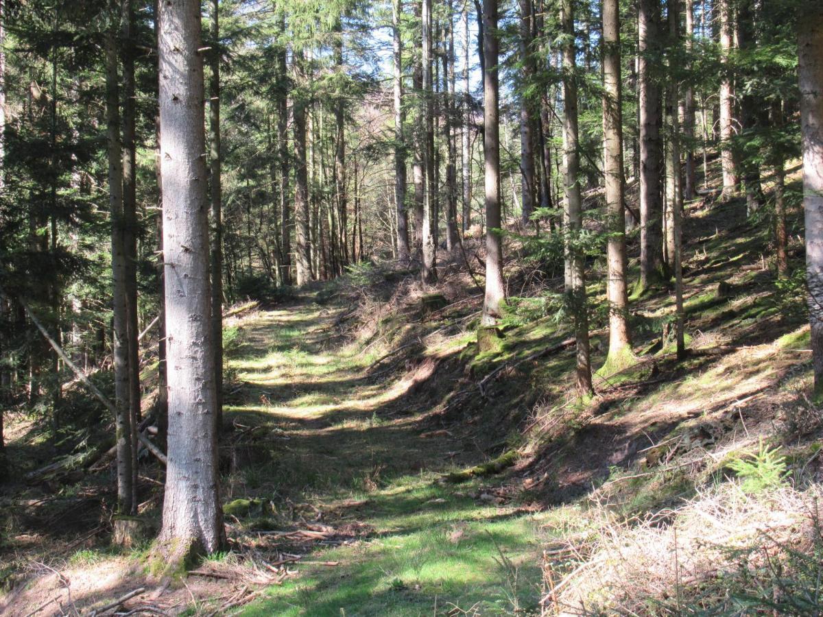 Le Clos D'Aure. Oberhaslach Екстер'єр фото