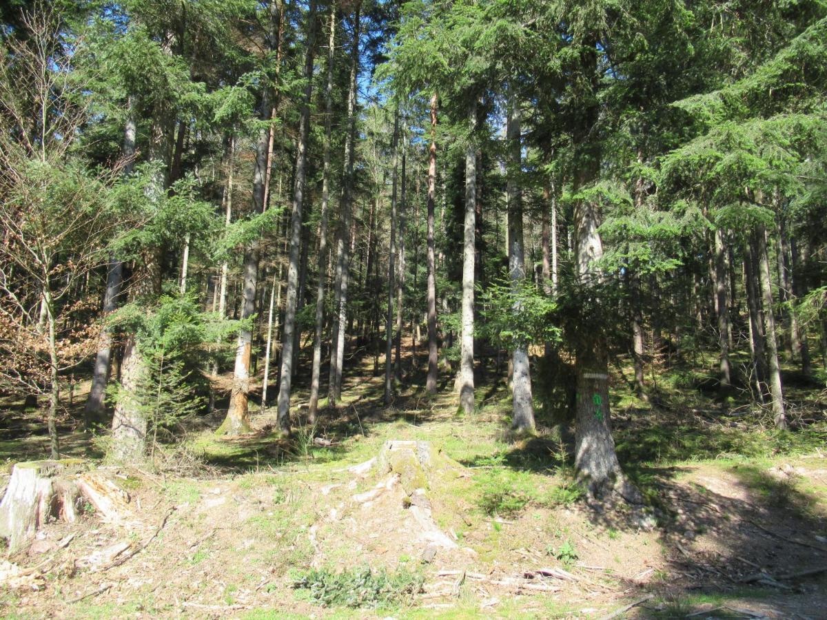 Le Clos D'Aure. Oberhaslach Екстер'єр фото