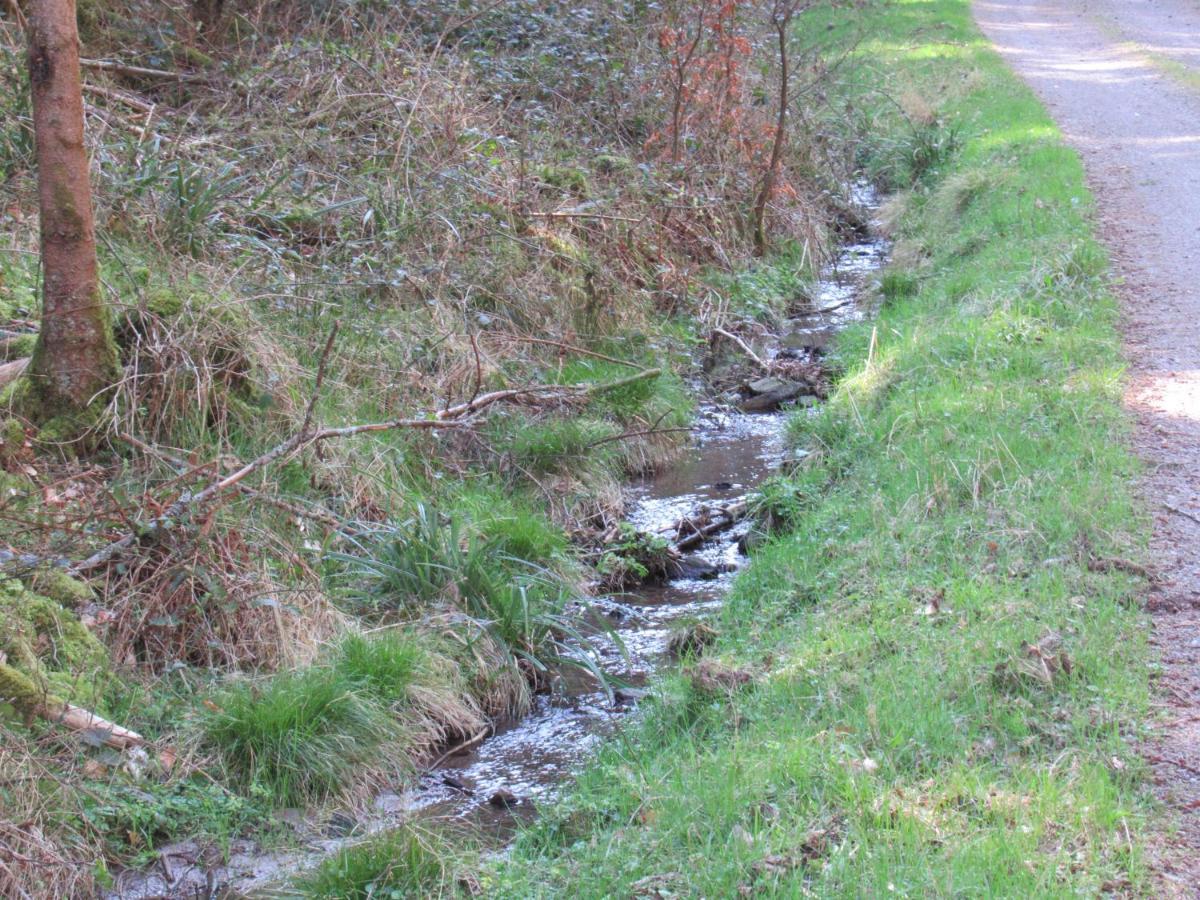 Le Clos D'Aure. Oberhaslach Екстер'єр фото